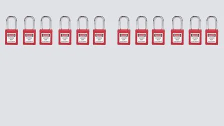 Навесной замок с дужкой длиной 25 мм